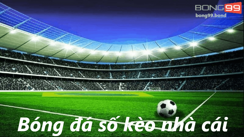 bóng đá số kèo nhà cái